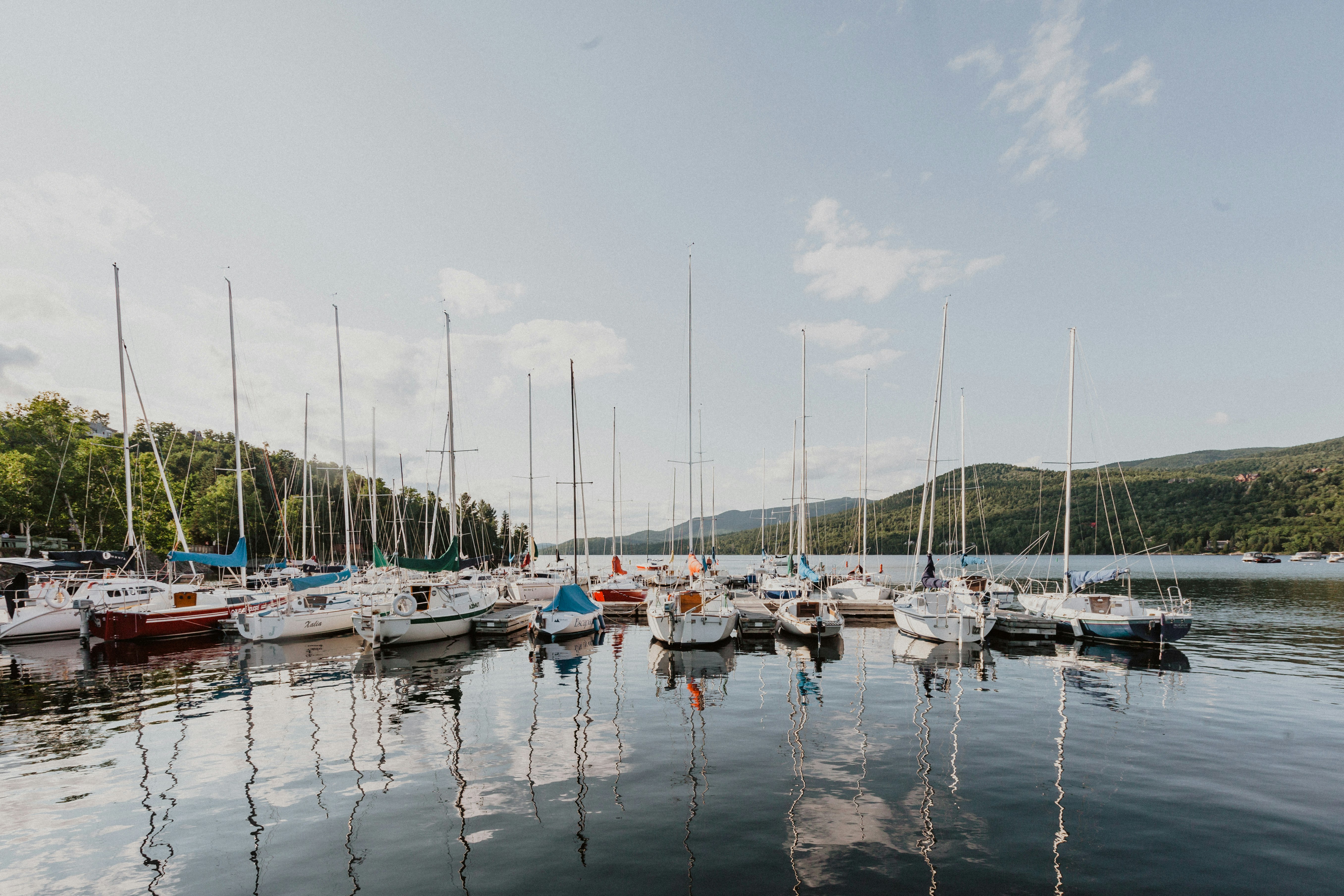 white and blue boats on dock during daytime